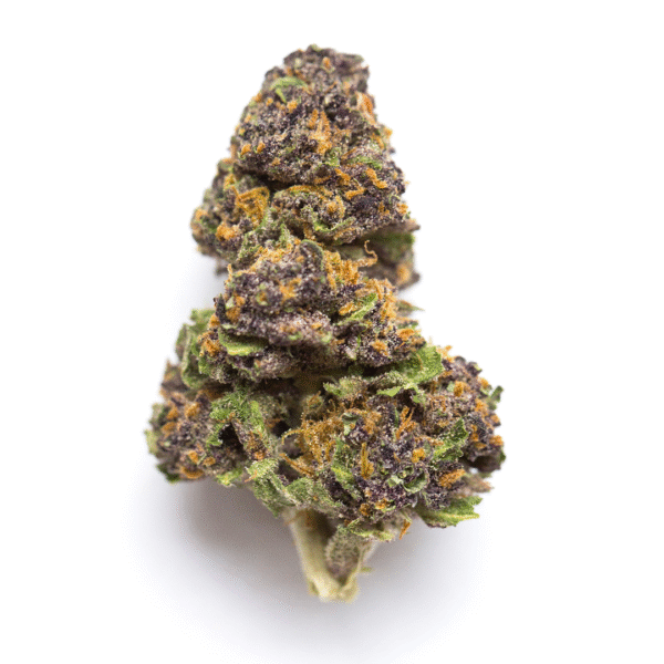 Lato Pop Strain​
