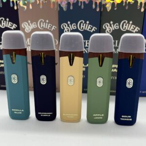 Big Chief Disposable 2g​
