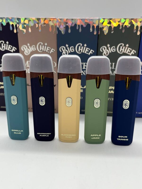 Big Chief Disposable 2g​
