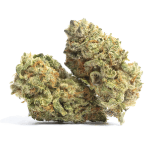 Sunset Gelato Strain