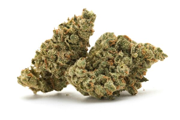 Boston Runtz Strain